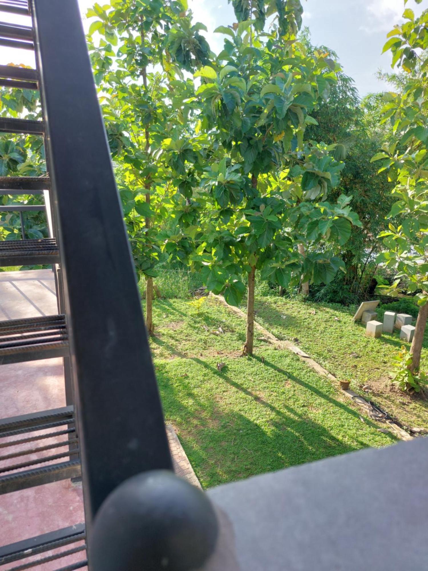 Green Shield Resort Anuradhapura Luaran gambar