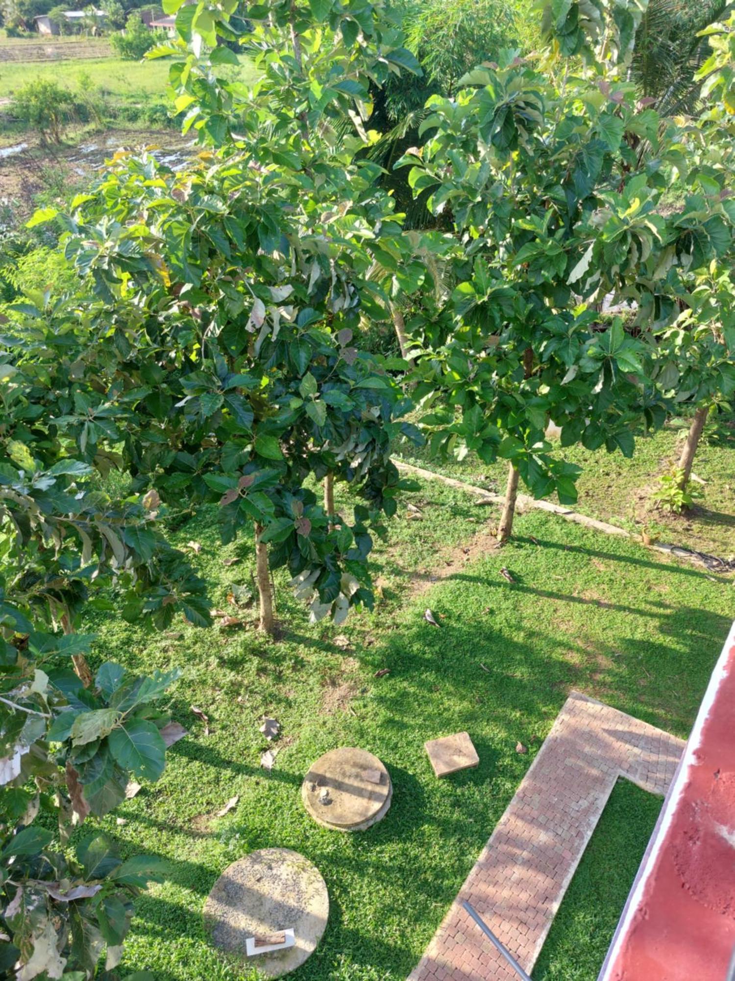 Green Shield Resort Anuradhapura Luaran gambar