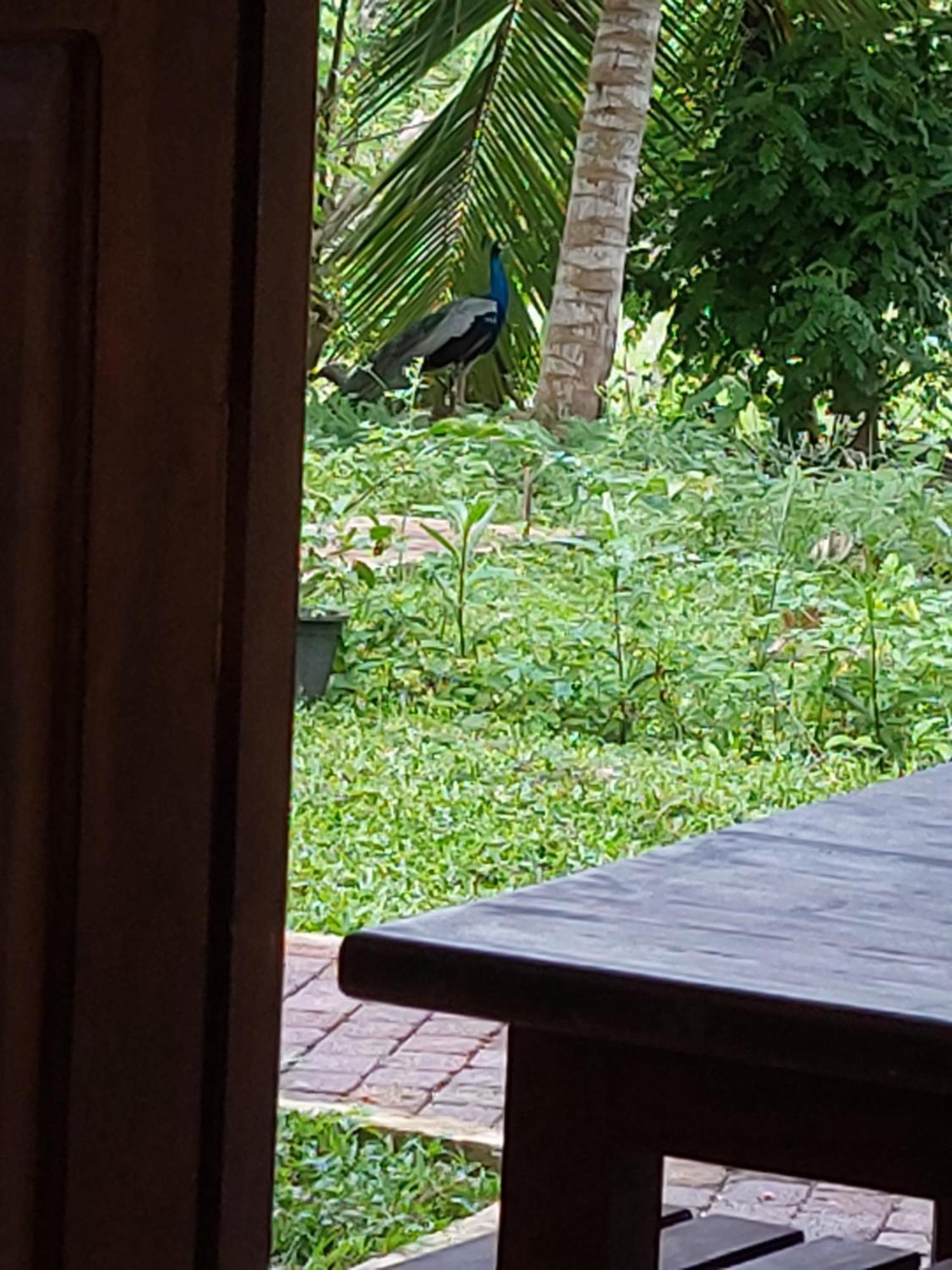 Green Shield Resort Anuradhapura Luaran gambar
