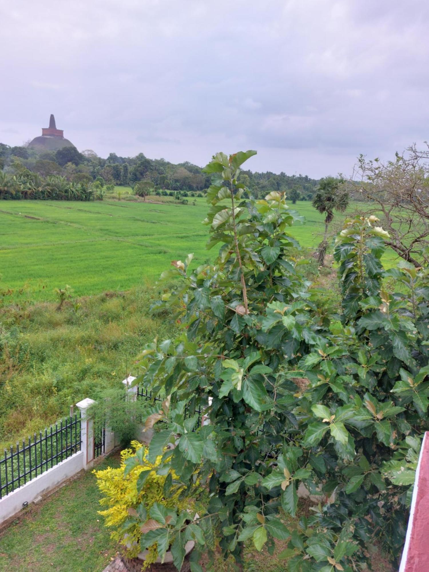 Green Shield Resort Anuradhapura Luaran gambar