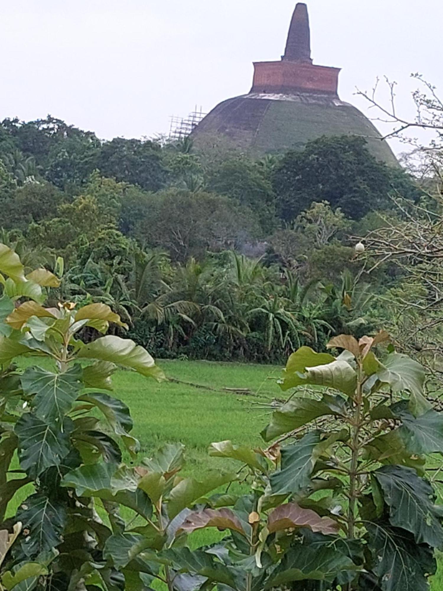 Green Shield Resort Anuradhapura Luaran gambar