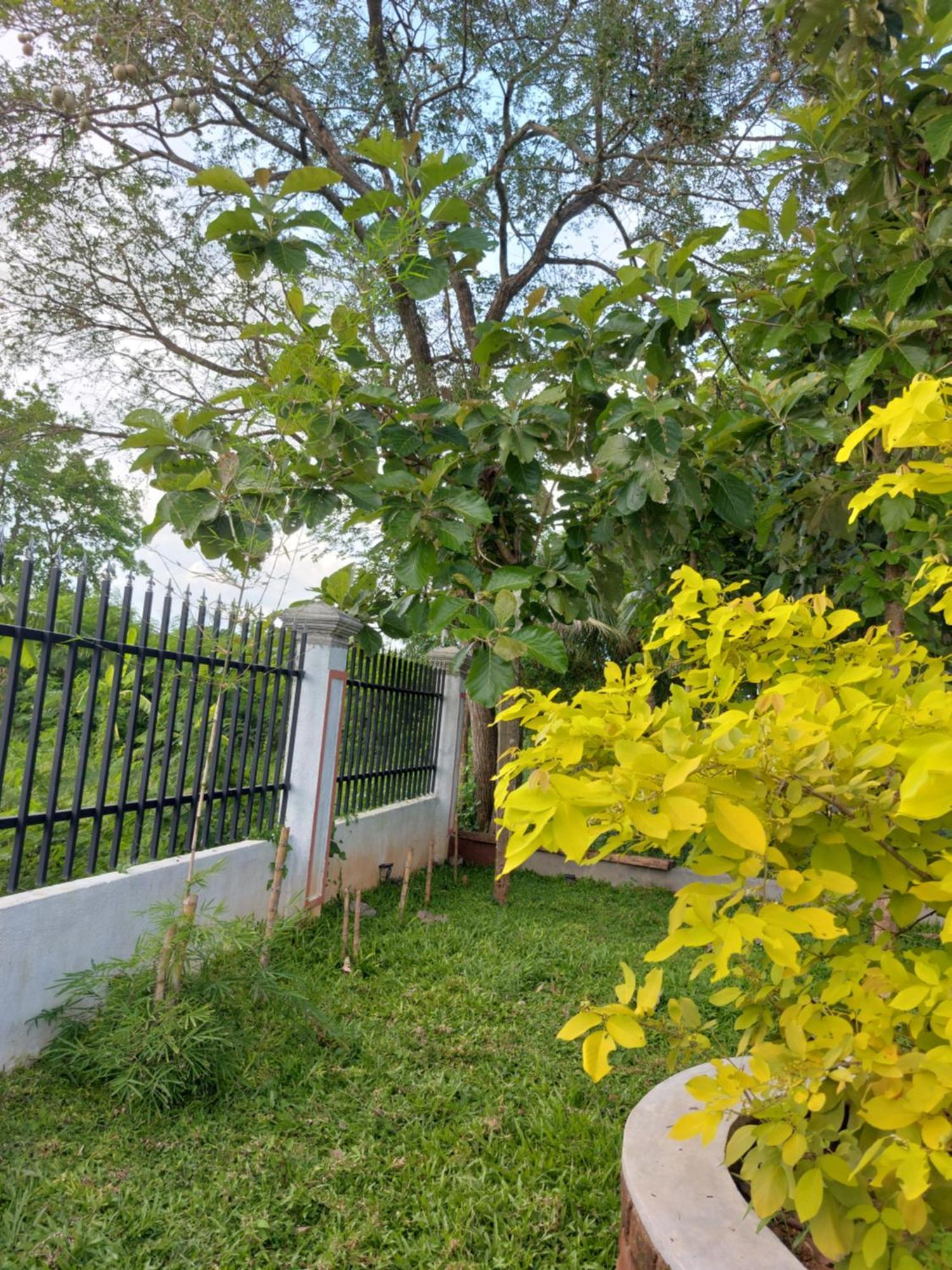 Green Shield Resort Anuradhapura Luaran gambar