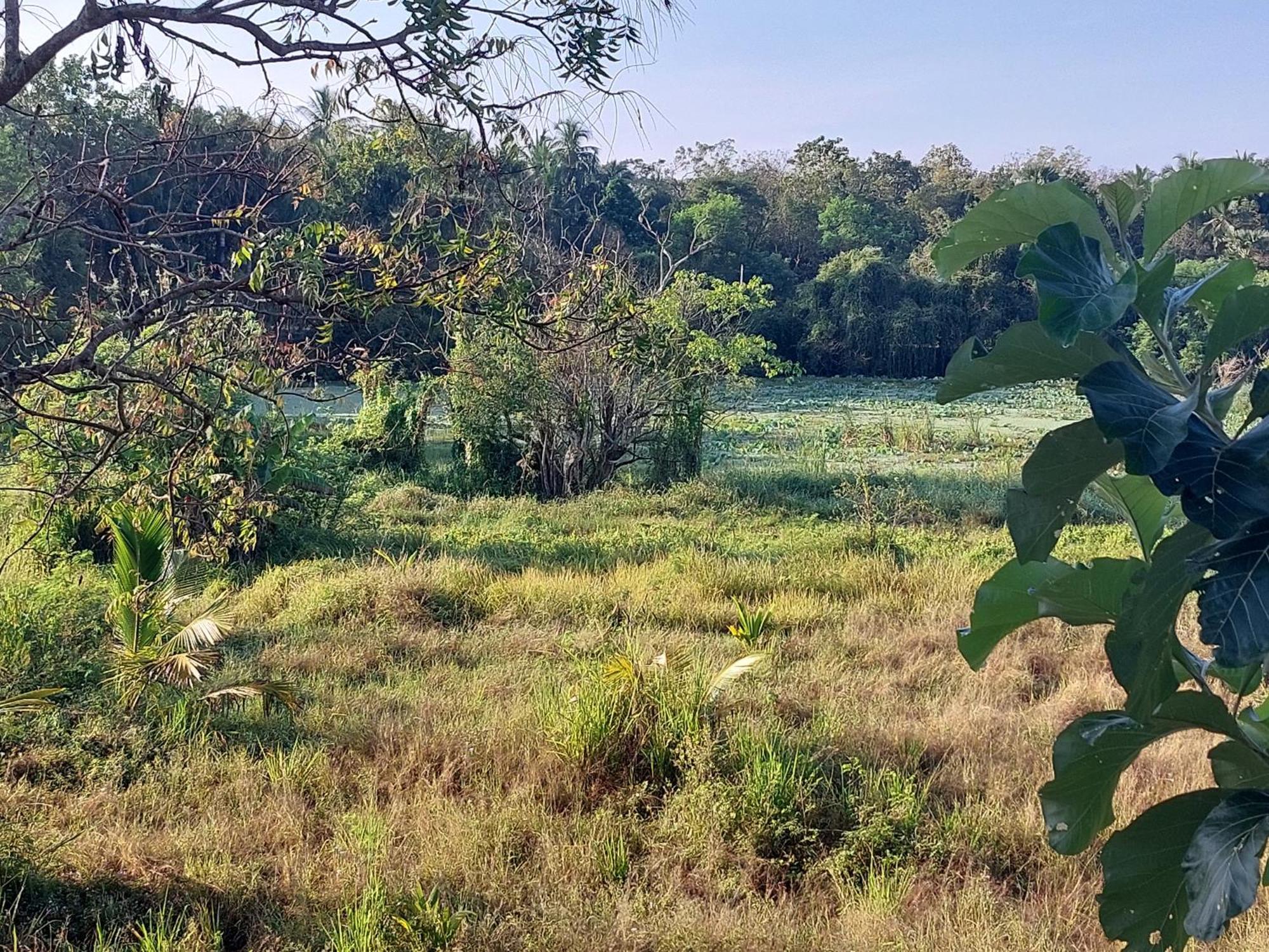 Green Shield Resort Anuradhapura Luaran gambar